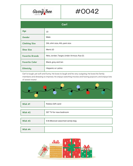 Giving Tree 2025 List #0042
