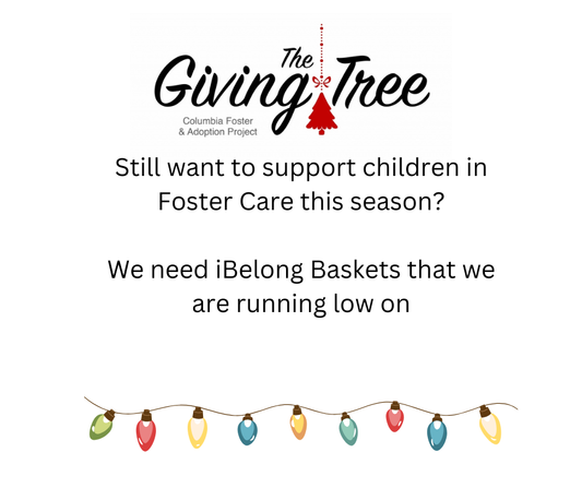 iBelong Baskets Needed